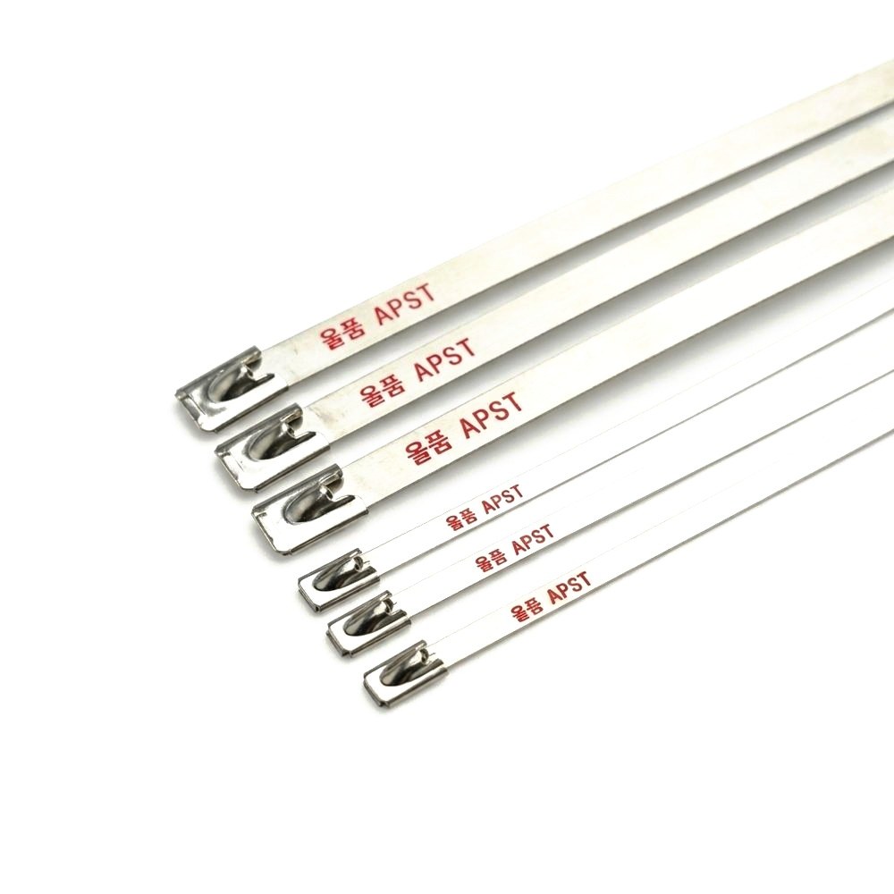Stainless Steel Cable Tie